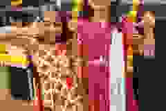 394553650_658636909805909_2923300133529190547_n_658636913139242